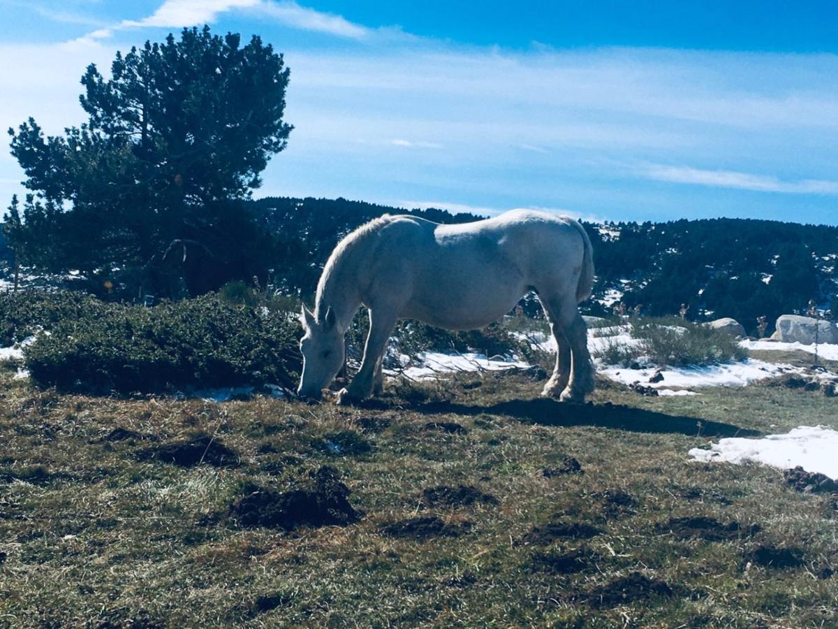 La Pradella Bolquere Pyrenees 2000 Διαμέρισμα Εξωτερικό φωτογραφία